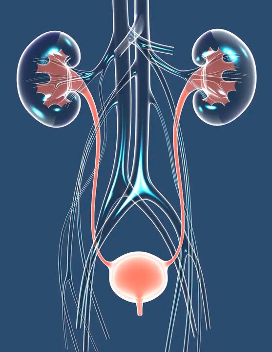 Ilustración de salud masculina saludable